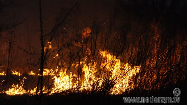 Spory pożar przy Rumiankowej